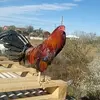 Jaime Alejos - @jaime.alejos8 - TikTok