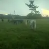 Jaimealejo13 - @jaimealejo13 - TikTok