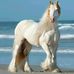 Jaime Arango - Facebook