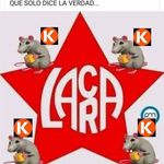 Jaime Arnold - @social4orden - Instagram