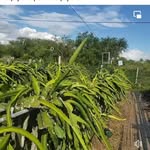 Jaime Bailon - @jaime.bailon9 - Instagram