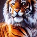 Jaime Barillas - @barillas3516 - Instagram