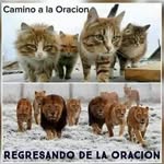 Jaime Enrique Avelar Barillas - @avelarbarillas - Instagram