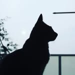ねりもの - @nerimono.jaimeblue - Instagram