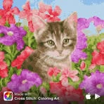 Jaime Borden - Facebook
