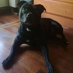 Jaime Borrell Garcia - @jaimeborrellgarcia - Instagram