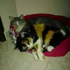 Jaime Borrero - @jaime.borrero7 - TikTok