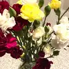 jaimebowen163 - @jaimebowen163 - TikTok