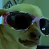 JaimeBowers - @jaimebowersrisdghoc - TikTok