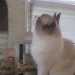 Jaime Beck Brady - @jaime.beck.33 - Instagram