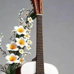 Jaime Brito Brito - Facebook