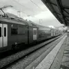 jaimebruce5053 - @jaimebruce5053 - TikTok