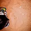 Jaime Cachu - @jaime.cachu05 - TikTok