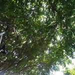 Jaime Campillo - @campillo583 - Instagram