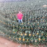 Jaime Antonio Acosta Capetillo - @jaimeantonioacosta - Instagram
