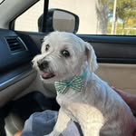 Jaime Carlson - @jaimecarlson76 - Instagram