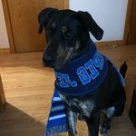 Jaime Carlson - @moose_the_rescue - Instagram