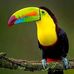 Jaime Casanova - Facebook