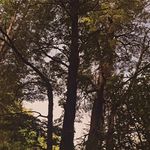 Jaime Casanova C. - @jaimecasanova32 - Instagram
