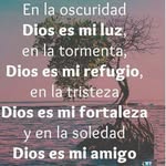 Jaime Ceballos - @jaime.ceballos.5872 - Instagram