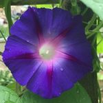 Jaime Cobb - @jaimecobb - Instagram