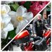 Jaime Escofet Comas - Facebook