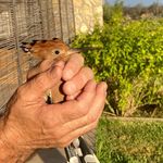 Jaime Masmiquel Comas - @mormaiquel - Instagram