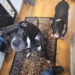 Jaime Conrad Horn - @rowdyboysmomma364 - Instagram