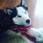 Jaime - @jaime_cordero_ - Instagram