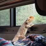 Jaime Curtis - Facebook