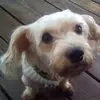 jaimecurtis4 - @jaimecurtis4 - TikTok
