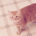 Jaime Donovan - @donovan946 - Instagram