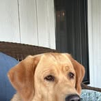 Jamie Drake - Facebook