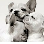 Jaime Drew - @drew_jaime - Instagram