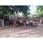 Jaime Escorcia - @jaime.escorcia.1656 - Instagram
