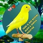 Jaime Falco - @jaime.falco.77 - Instagram