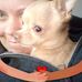 Jaime Franks - Facebook