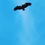 Jaime Garces - @jaime.garces.1426 - Instagram