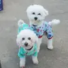 jaime_gee - @jaimegard0 - TikTok