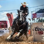 Jamie Gee - @dhangingghorses - Instagram