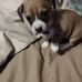 Jamie Gentry - Facebook
