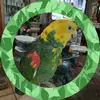 German Jaime - @german.jaime6 - TikTok