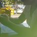 Jaime Gomes - Facebook
