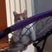 Jaime Graves - Facebook