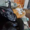 Jaime Graves - @jaime.graves7 - TikTok