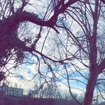 Jamie Grimes - @jammyg25 - Instagram
