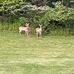 Jamie Groff - Facebook