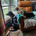 Jaime Gross - @jeepgirl33 - Instagram