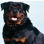 Jamie Gross - @gross_jamie - Instagram