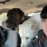 Jaime Hanson - @isitjustme - Instagram